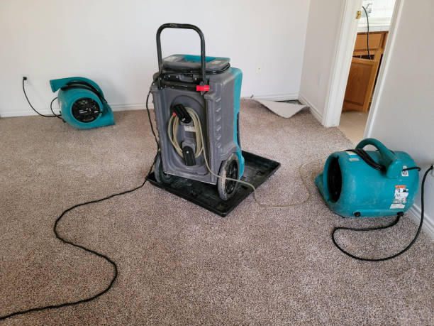 Best Residential water damage restoration  in Clarinda, IA