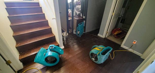 Best Basement water damage restoration  in Clarinda, IA