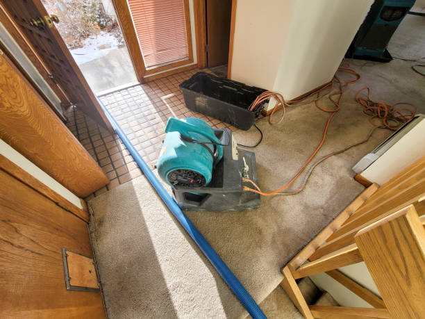 Best Flooded house restoration  in Clarinda, IA