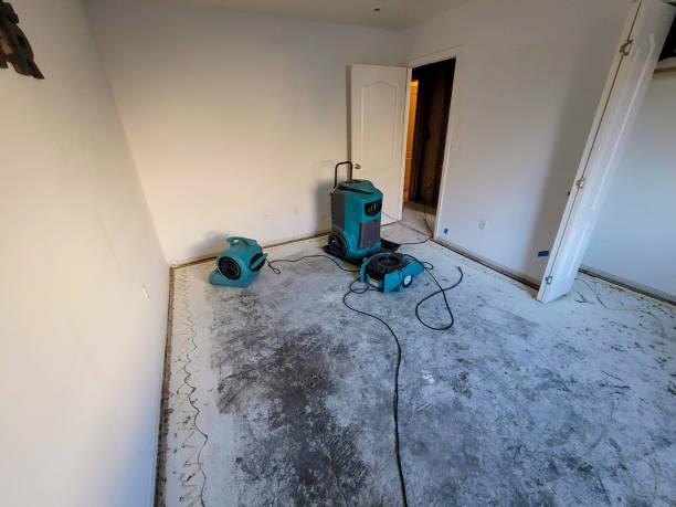 Best 24/7 water damage repair  in Clarinda, IA