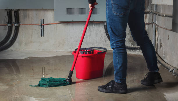 Best Fire Damage Restoration  in Clarinda, IA