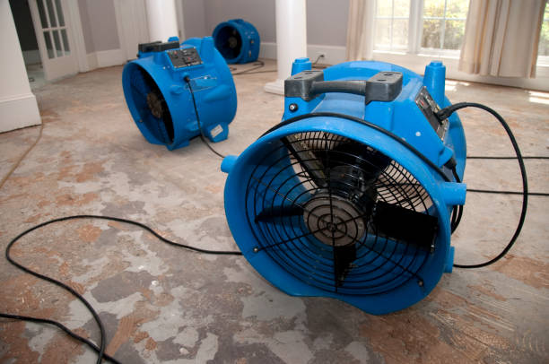 Best Flood damage cleanup  in Clarinda, IA
