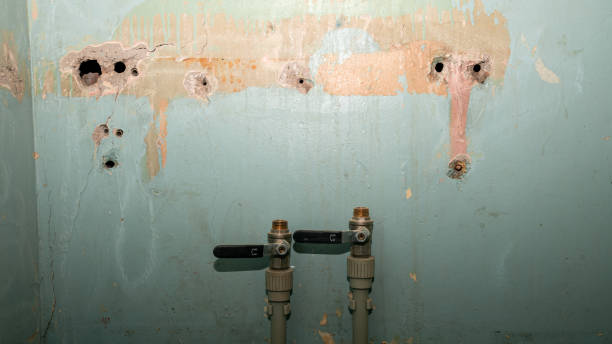 Best Sewage cleanup and water damage restoration  in Clarinda, IA