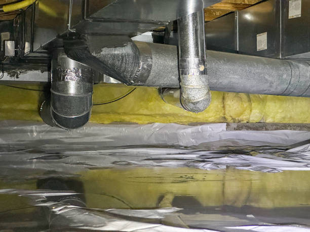 Best Flood restoration services  in Clarinda, IA