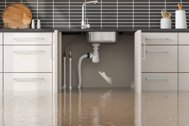 Best Emergency water damage restoration  in Clarinda, IA