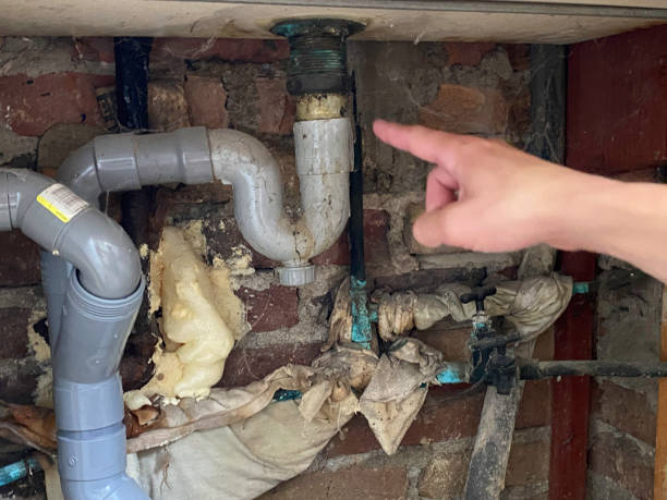 Best Professional water damage repair  in Clarinda, IA